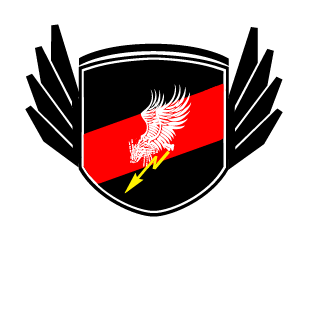 SuperStypek's emblem