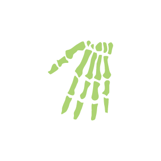 1n11n1's emblem