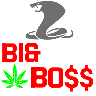 big-boss50600's emblem