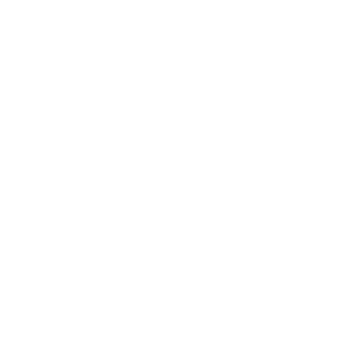 Cocat2280's emblem