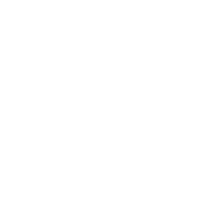 NULLW11's emblem