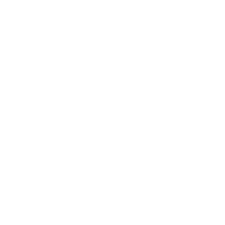 JaviDZARG's emblem