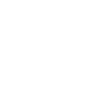 69brubru69's emblem