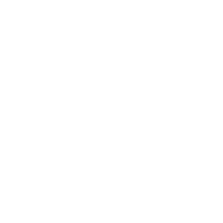 DSQ1314520's emblem