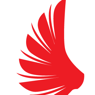 reeebot's emblem