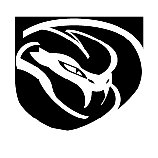 AORSKI's emblem