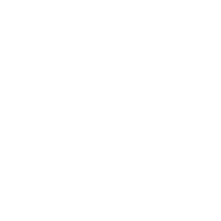 bsc322's emblem