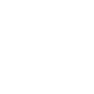 turtleoftime's emblem