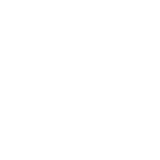 falcort's emblem