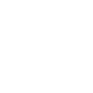 720de5390f9c4bbe's emblem