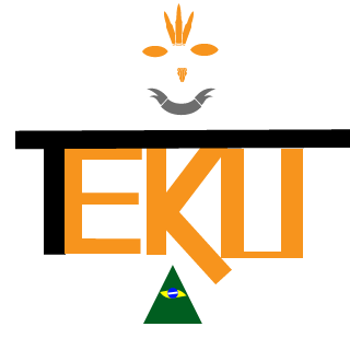 TheKillerStates's emblem