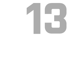 SwimmingBird13's emblem