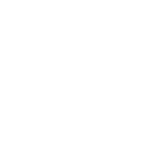 dnwn306's emblem