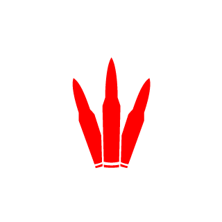 HenriquePierinC's emblem