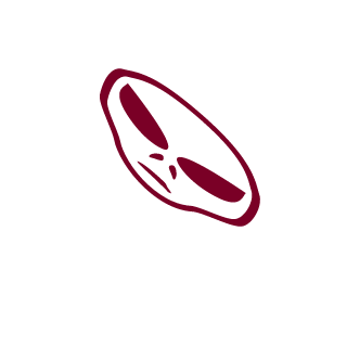 KoHb_B_ObOPOHE's emblem