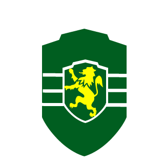 VHIP13's emblem