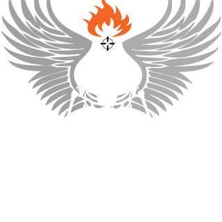 FenixQns's emblem