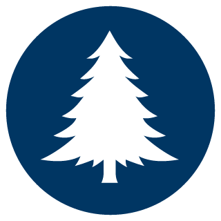 SkinnyHelios's emblem