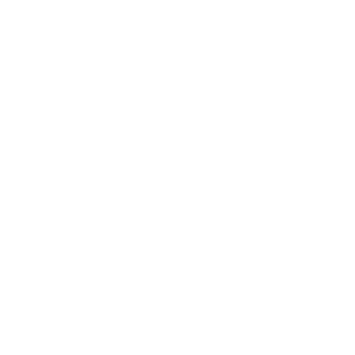 White_Wolf_Kiev's emblem