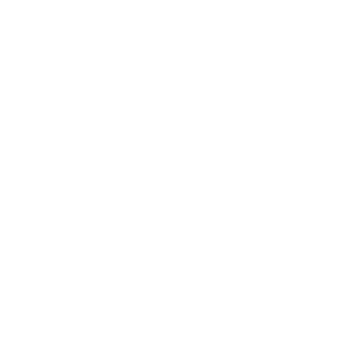 0100010000100's emblem