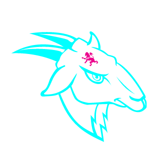 SalvaterraZk's emblem