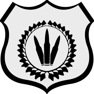 AllPack185's emblem
