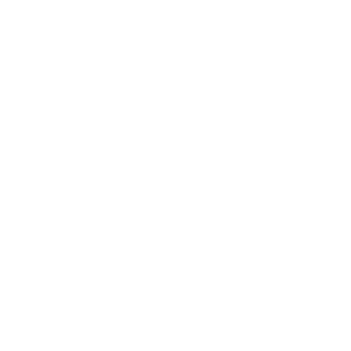 88500400's emblem