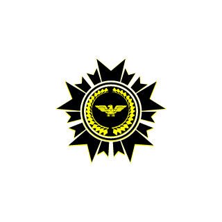 Go on AoK's emblem
