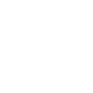 950605j's emblem