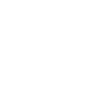 Flash_SKS's emblem