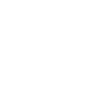 11FLISH11's emblem