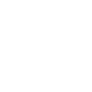 55AMG55's emblem
