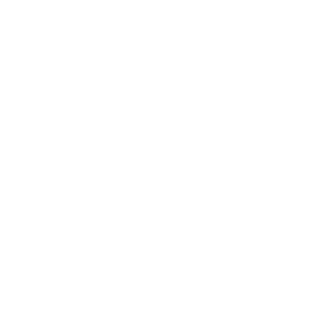 RebelDoggo's emblem