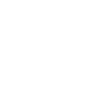 StormVA11's emblem