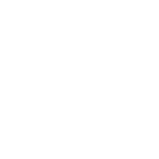 ilguaro13's emblem