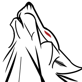 RlPslash's emblem