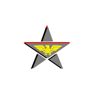 ARealCasual's emblem