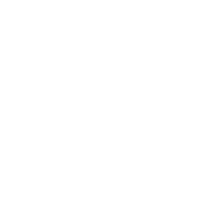 Naniswe's emblem