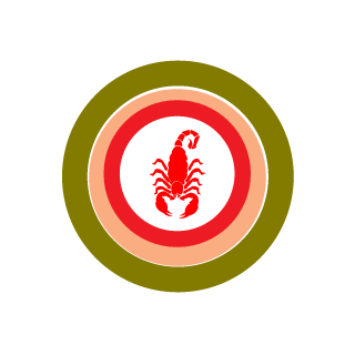 1D1D-FAST's emblem