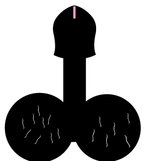 AgentChodyDanks's emblem