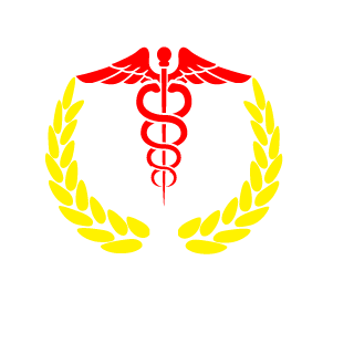 LowCheater21's emblem