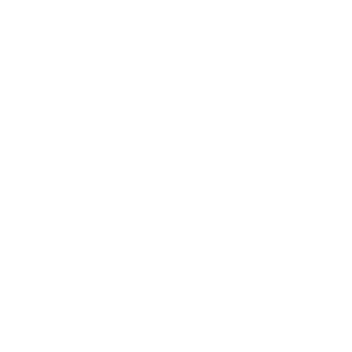 ShadowJrMc's emblem
