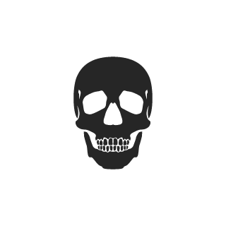 SASHIVR's emblem