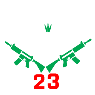 Zerooverkill23's emblem