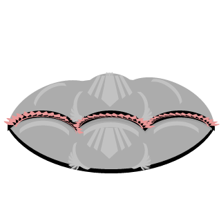 ihavenewshoes's emblem