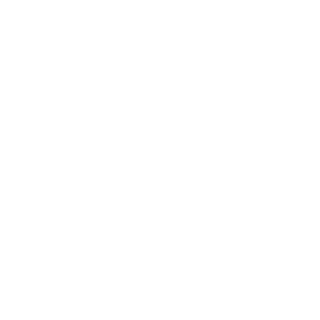 DonzaSilver's emblem