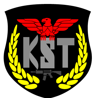 KasselerSturmtrupp's emblem