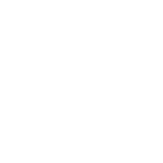 SyrianXx's emblem
