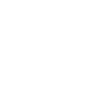CelestialFroggy's emblem
