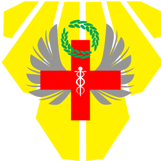 Lil_Ryuu's emblem
